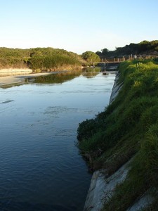 The weir free of reeds