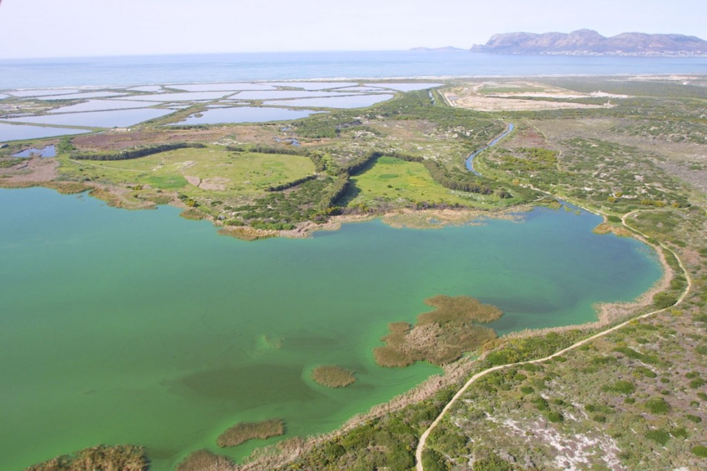 Mountain Bike Terrain, Strandfontein Pans, False Bay Ecology Park