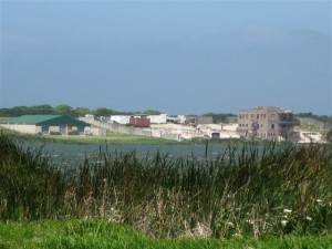 New False Bay Ecology Park HQ - again