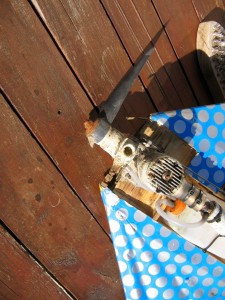 been in the vlei for a while, I guess