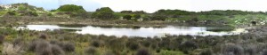 Have you seen Moddervlei, if not be there