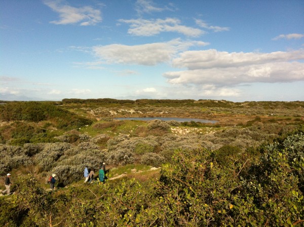 Spring_Walk