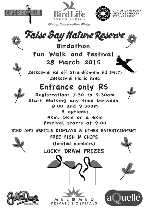Birdathon Flyer