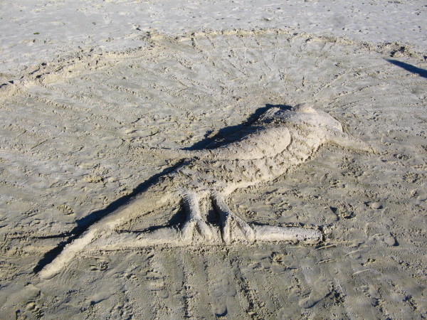 Kia's bird sand-art