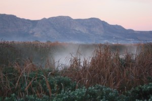 Winter time at Rondevlei 