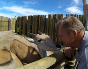 An Eland checking Theo's aftershave