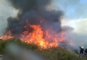 Keeping fire away from shoreline infrastructure. 