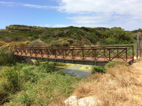 The bridge into hippo territory.