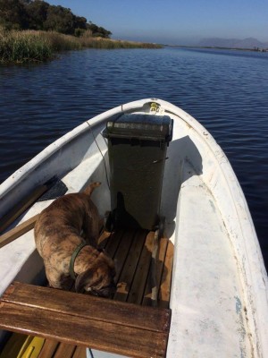Litter Cleanup (Photo: R. Cammell)
