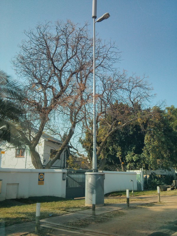 Street pole-1